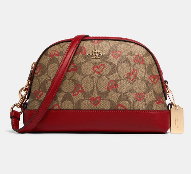 Coach Outlet 91015