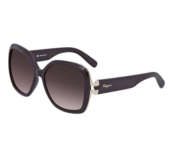 Ferragamo Brown Gradient SF781S 604 56