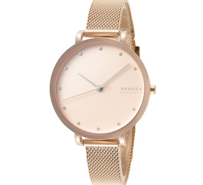 Skagen SKW7205
