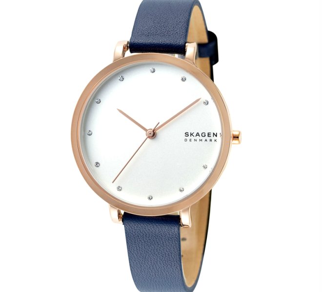 Skagen SKW7207